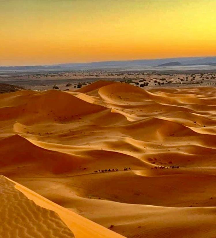 Auberge L'Oasis Mhamid M'Hamid Exteriér fotografie