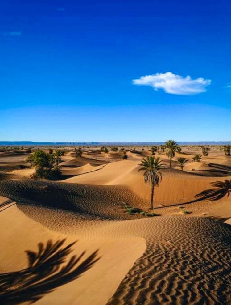 Auberge L'Oasis Mhamid M'Hamid Exteriér fotografie